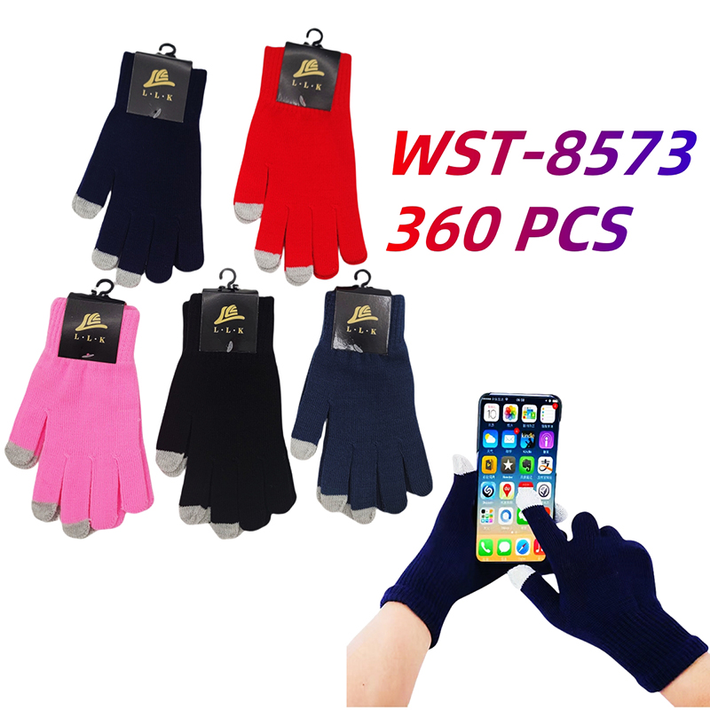 WST-8573 CS360